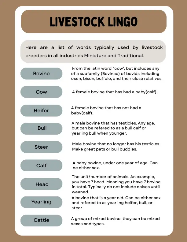 Livestock lingo PDF