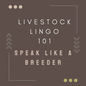 Livestock lingo cover