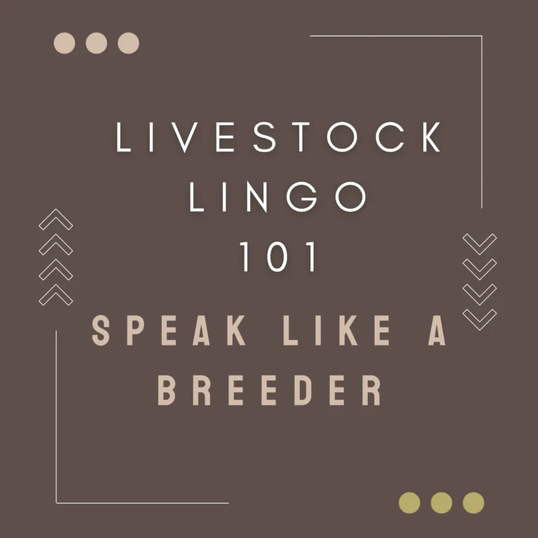 Livestock lingo cover