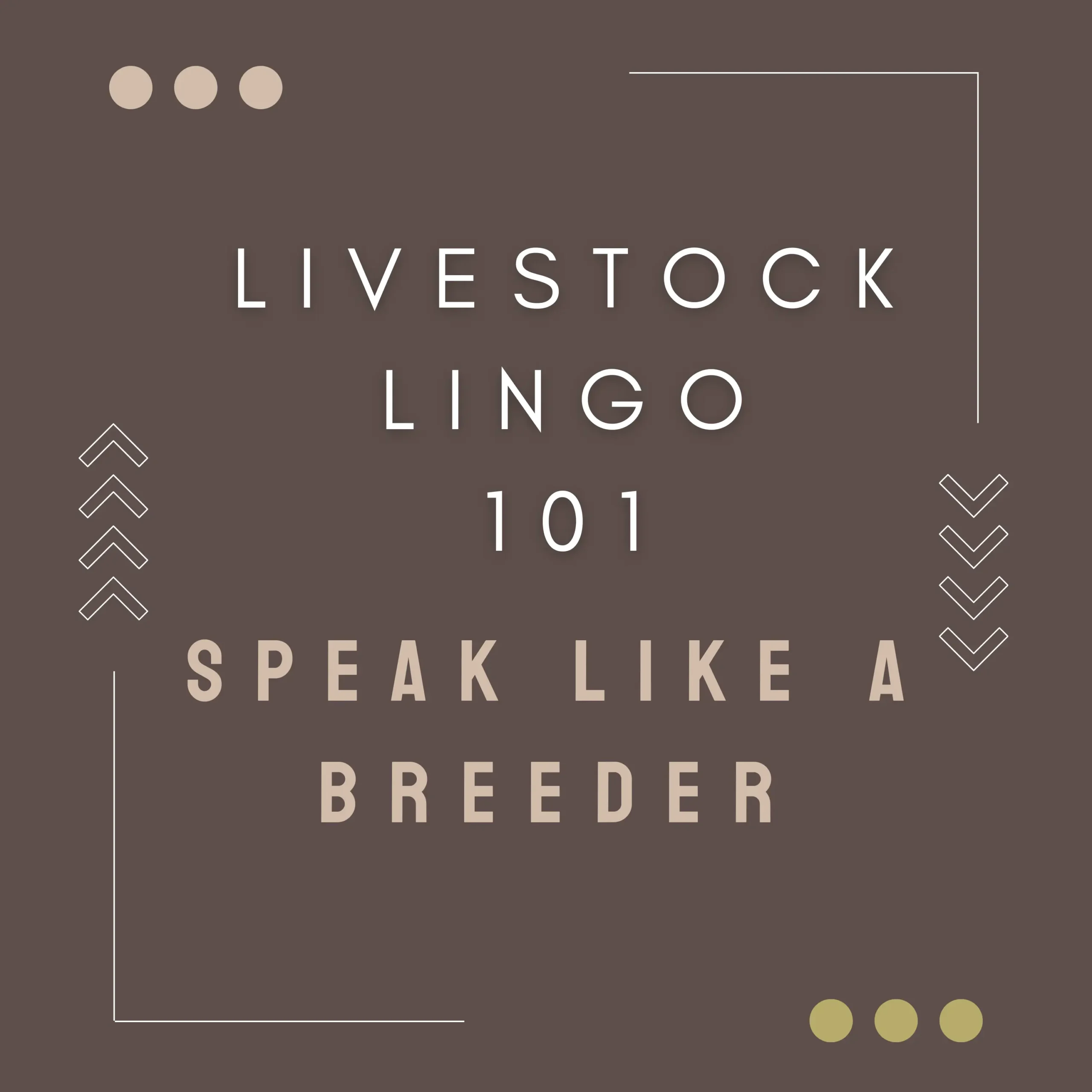 Livestock lingo cover