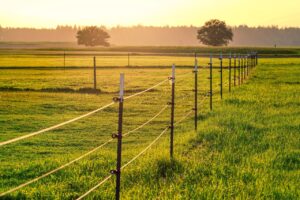 meadow, pasture, paddock, ranch, grass, nature, dusk, landscape, fence, enclosure, farmland