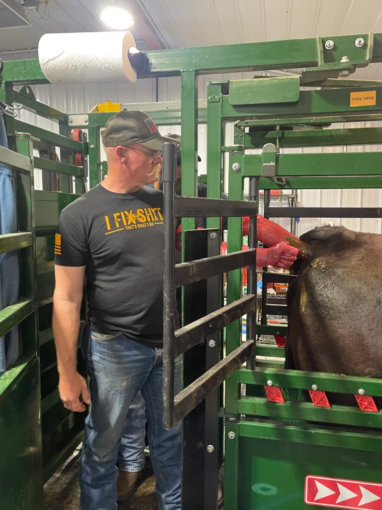 Artificial insemination